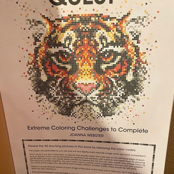 Color Quest Johanna Webster Color By Numbers 11x14 Coloring Book - Picture 1 of 12